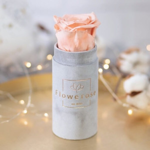Brzoskwiniowa wieczna róża szary flowerbox VELVET MINI
