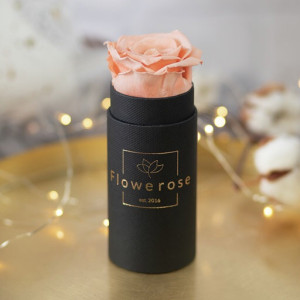 Brzoskwiniowa wieczna róża czarny flowerbox CLASSIC MINI