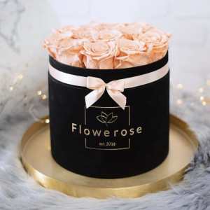 Brzoskwiniowe wieczne róże czarny flowerbox VELVET L