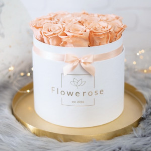 Brzoskwiniowe wieczne róże biały flowerbox CLASSIC L