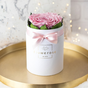 Różowa wieczna róża XXL biały flowerbox CLASSIC S