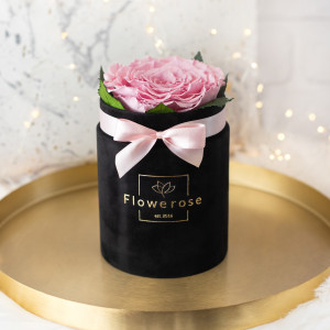 Różowa wieczna róża XXL czarny flowerbox VELVET S