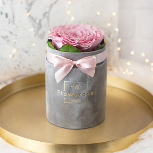 Różowa wieczna róża XXL szary flowerbox VELVET S