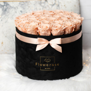 Brzoskwiniowe wieczne róże czarny flowerbox VELVET EXCLUSIVE