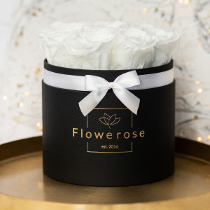 Białe wieczne róże czarny flowerbox CLASSIC M