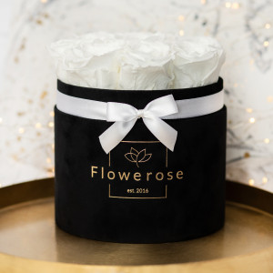 Białe wieczne róże czarny flowerbox VELVET M
