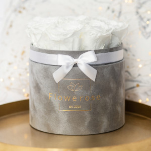 Białe wieczne róże szary flowerbox VELVET M