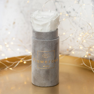 Biała wieczna róża szary flowerbox VELVET MINI