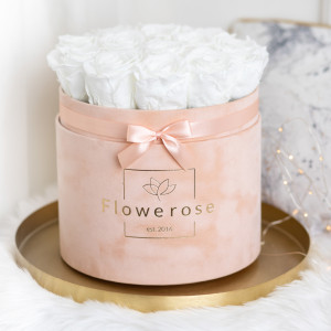 Białe wieczne róże brzoskwiniowy flowerbox VELVET L