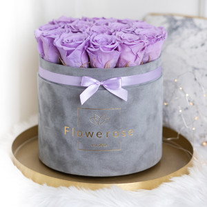 Fioletowe wieczne róże szary flowerbox VELVET L