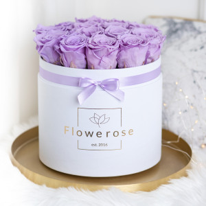 Fioletowe wieczne róże biały flowerbox CLASSIC L