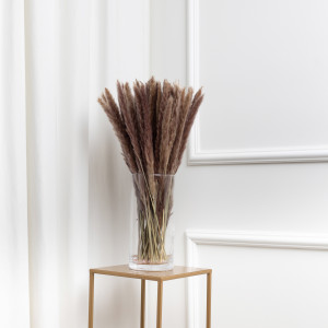 Trawa pampasowa naturalna suszona do wazonu 48cm SZARA 30szt
