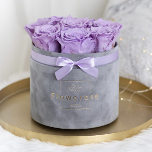 Fioletowe wieczne róże szary flowerbox VELVET M