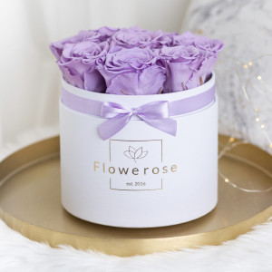 Fioletowe wieczne róże biały flowerbox CLASSIC M