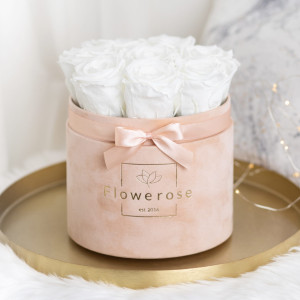 Białe wieczne róże brzoskwiniowy flowerbox VELVET M