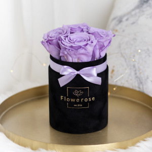 Fioletowe wieczne róże czarny flowerbox VELVET S