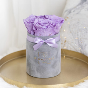 Fioletowe wieczne róże szary flowerbox VELVET S