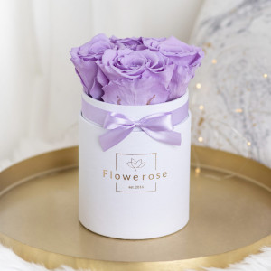 Fioletowe wieczne róże biały flowerbox CLASSIC S
