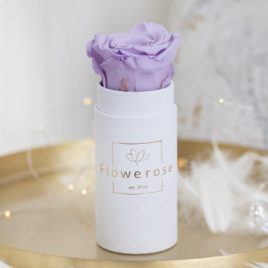 Fioletowa wieczna róża biały flowerbox Classic MINI