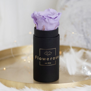 Fioletowa wieczna róża czarny flowerbox Classic MINI