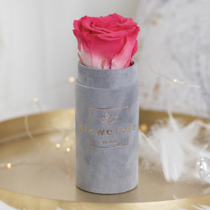 Koralowa wieczna róża szary flowerbox VELVET MINI