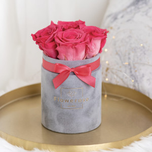 Koralowe wieczne róże szary flowerbox VELVET S