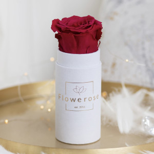 Burgundowa wieczna róża biały flowerbox CLASSIC MINI