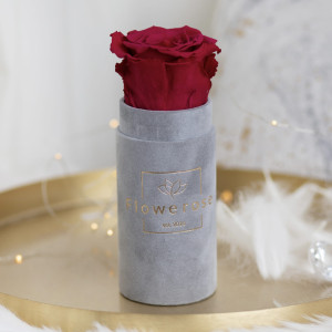 Burgundowa wieczna róża szary flowerbox VELVET MINI