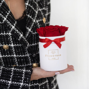 Czerwone wieczne róże biały flowerbox VELVET S