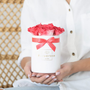 Koralowe wieczne róże biały flowerbox VELVET S