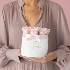 Różowe wieczne róże biały flowerbox VELVET M