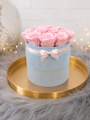 Różowe wieczne róże błękitny flowerbox VELVET L