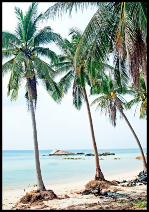 Plakat egzotyczna plaża w Tajlandii
