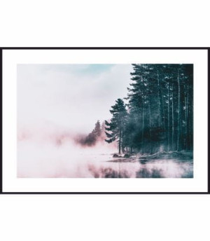 Plakat mgła o poranku
