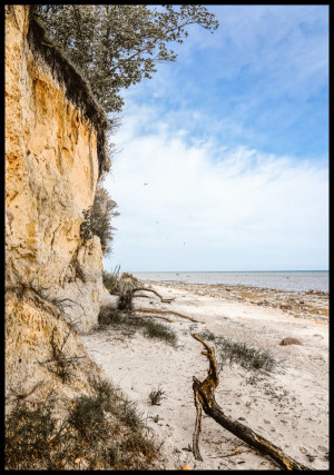 Plakat strome wybrzeże w Gollwitzer Strand