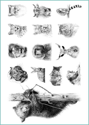 Tatuaże tymczasowe hand drawings animals