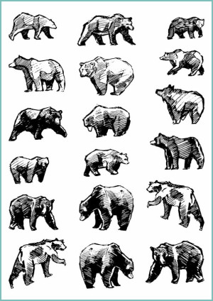 Tatuaże tymczasowe wild bears set