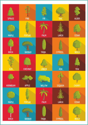 Tatuaże tymczasowe colorful tree silhouettes