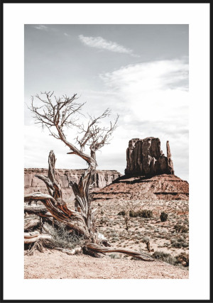 Plakat monument valley skała na pustyni