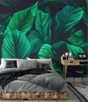 Fototapeta green leaves on dark background