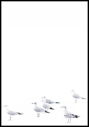 Plakat mewy na śniegu