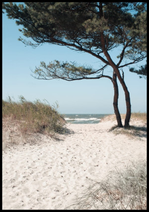 Plakat piaszczysta ścieżka na plażę