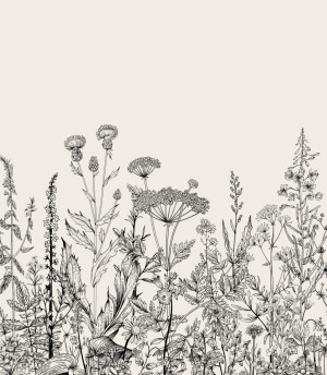 Próbka tapety botaniczna łąka w beżu