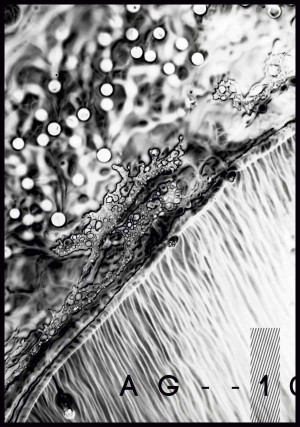 Plakat abstract ink