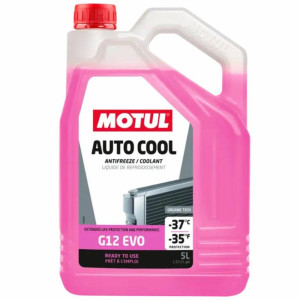 MOTUL Auto Cool G12 Evo 5L - płyn do chłodnic