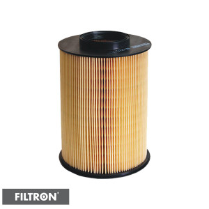 FILTRON Filtr powietrza AK372/1