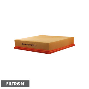 FILTRON Filtr powietrza AP004/2