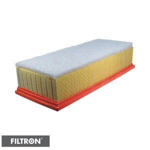 FILTRON Filtr powietrza AP090/6