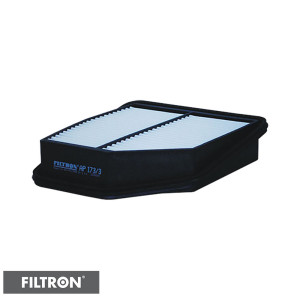 FILTRON Filtr powietrza AP173/3