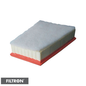 FILTRON Filtr powietrza AP185/6